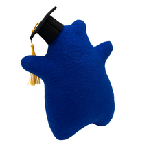 Load image into Gallery viewer, graduation bear plush (customizable colors)
