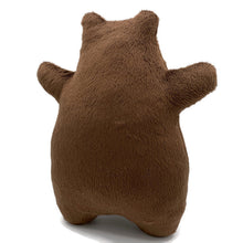 Load image into Gallery viewer, fuzzy bear plush
